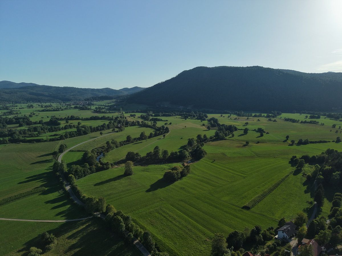 Zelena polja in gozdnati hribi v občini Logatec
